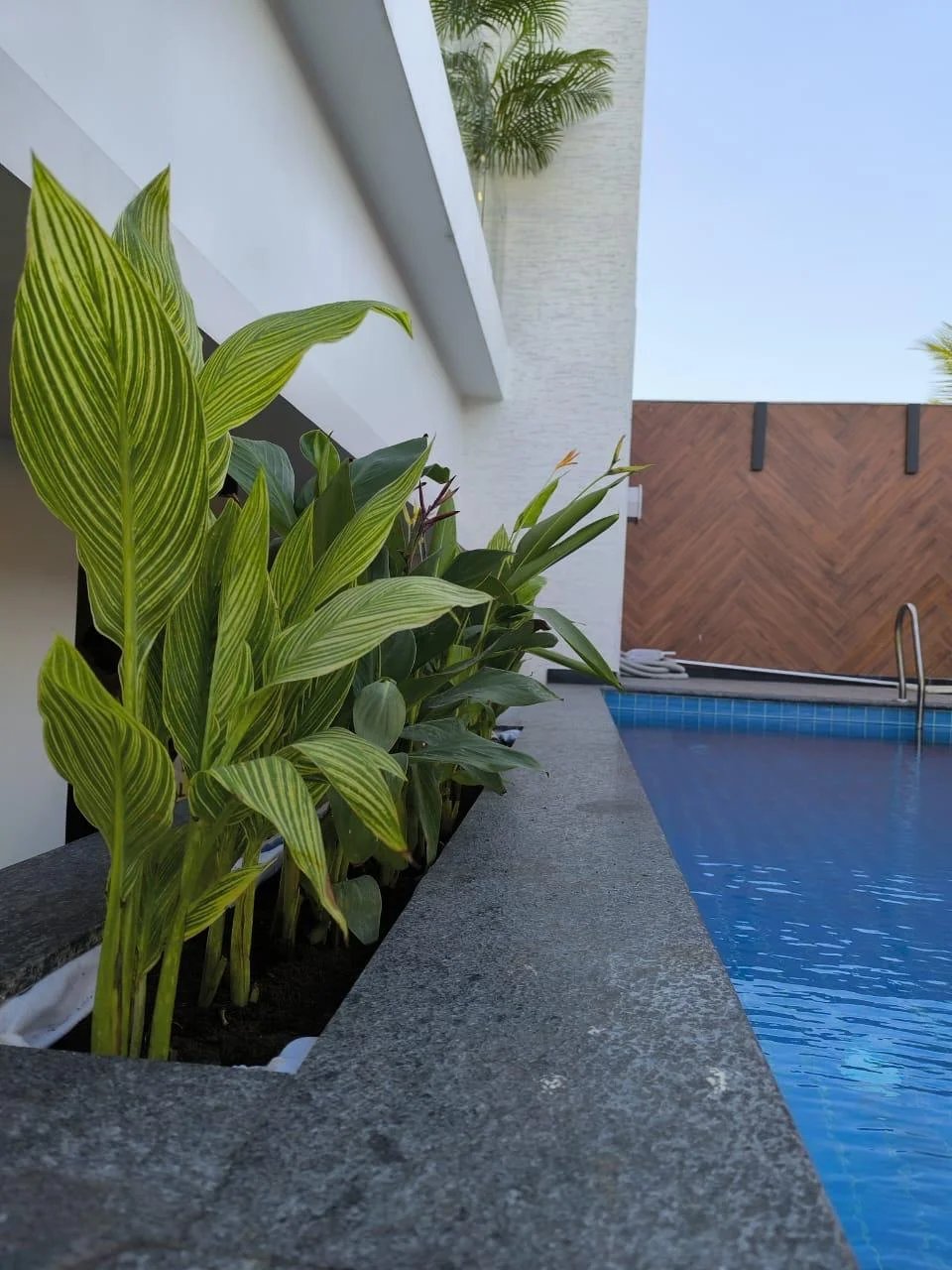 Landscaping Usage
